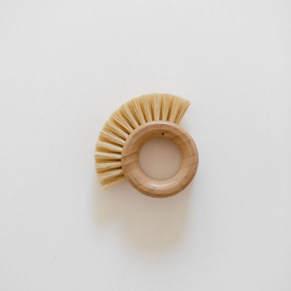 A Tasteology eco circle veggie brush with stiff, natural fiber bristles, viewed from above on a plain white background.