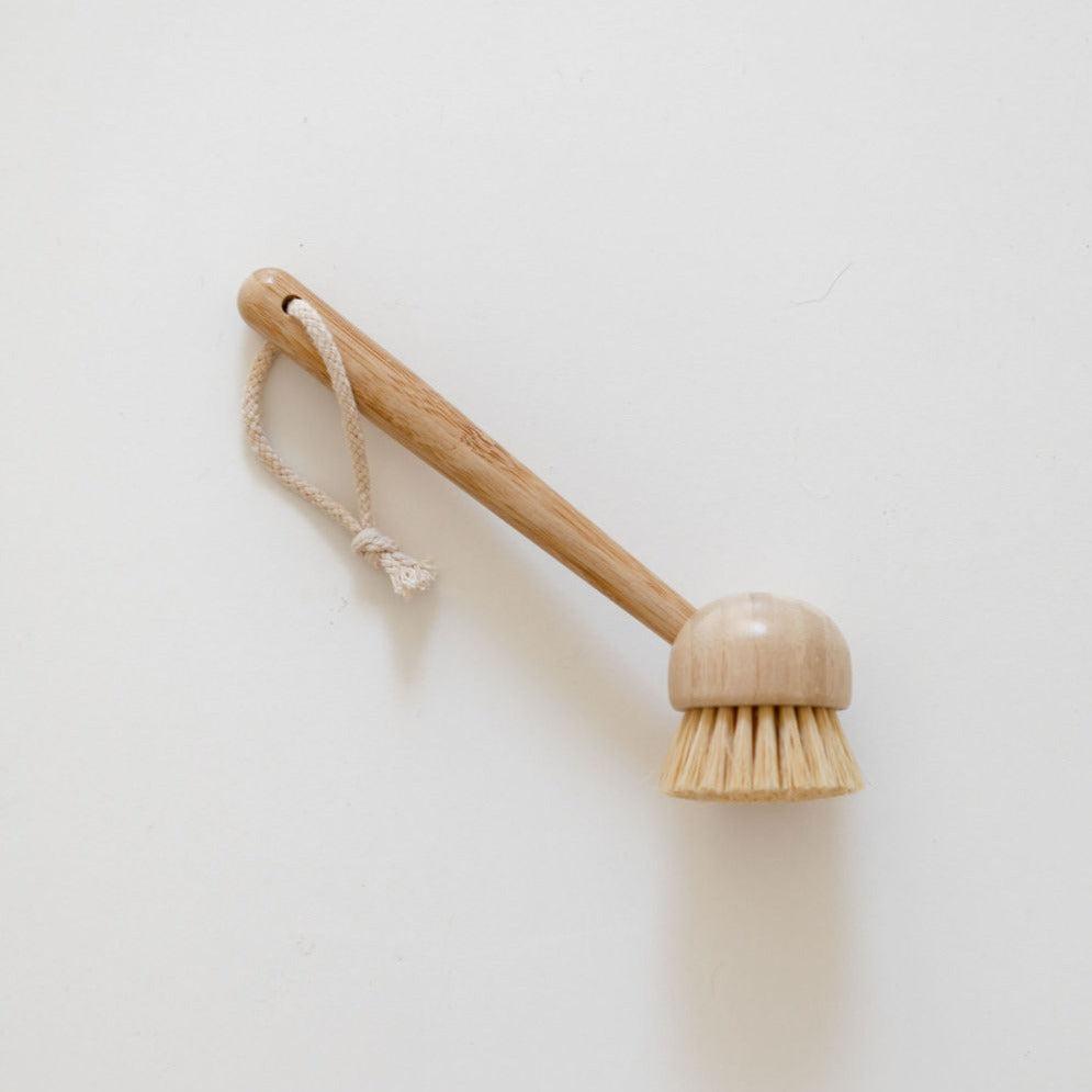 A Tasteology eco dish brush with natural bristles and a hanging rope, placed against a plain white background.