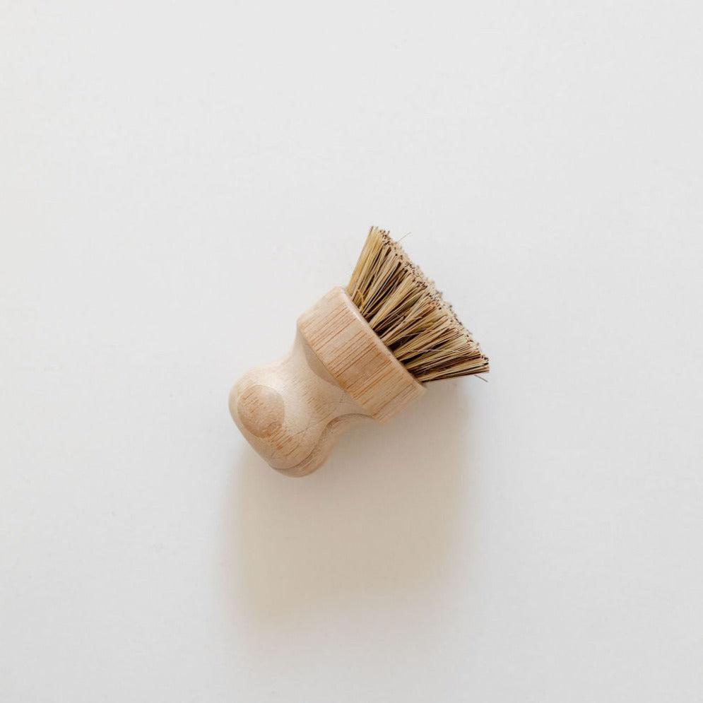 A small Tasteology eco pot & bbq scrubber with stiff bristles, lying on a plain white background.