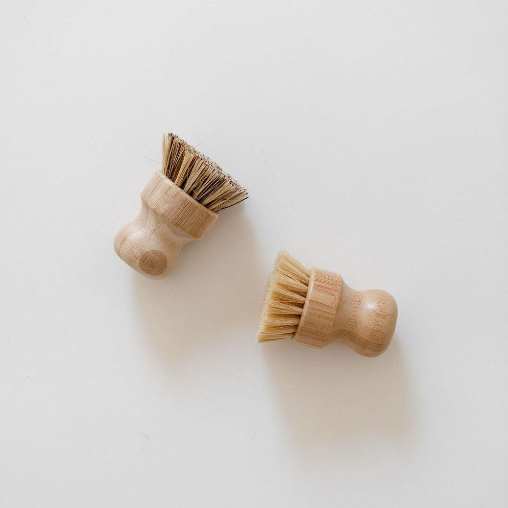 Two Tasteology eco pot brushes with natural bristles lie on a white surface, one brush facing up, and the other facing down.