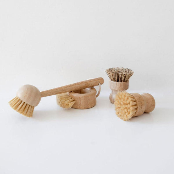Four Tasteology eco pot brushes with different bristle types and handles, displayed on a plain white background.