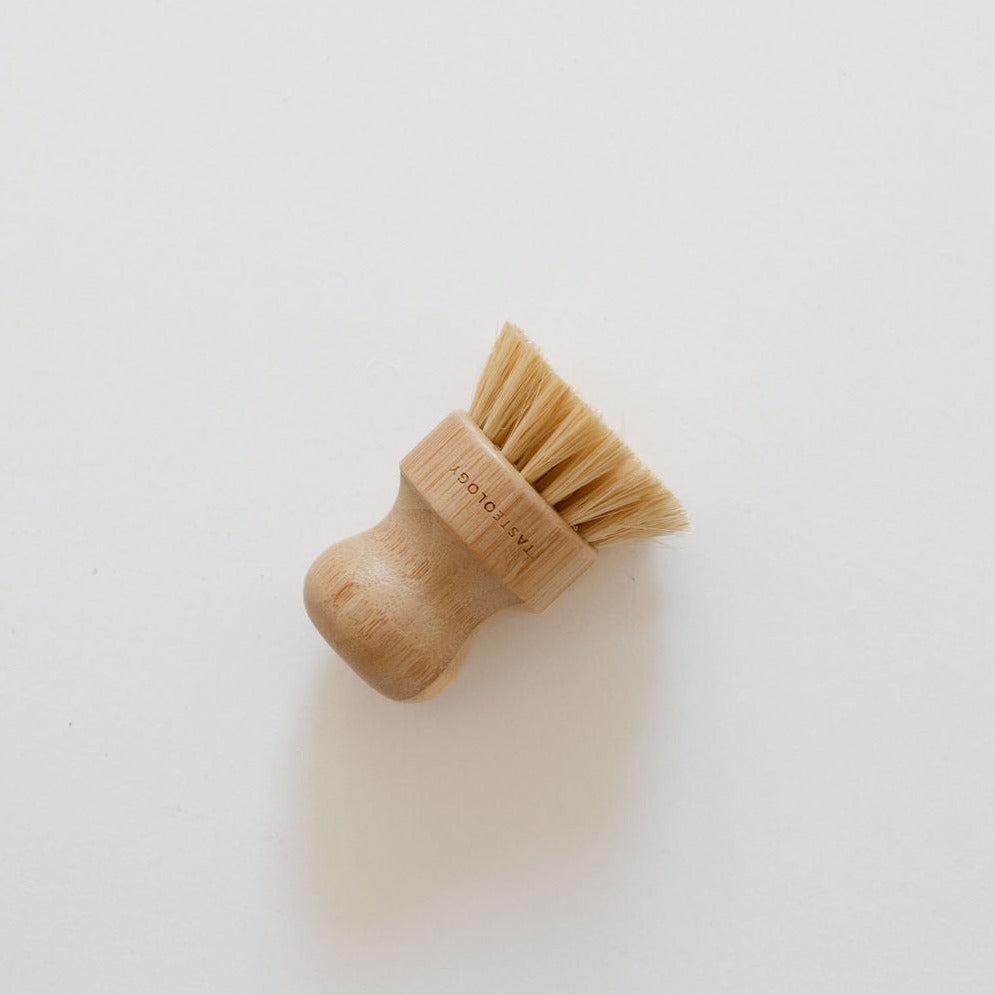 A small Tasteology eco pot brush with natural bristles, positioned upright on a plain white background.